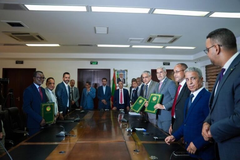 La Mauritanie : 300 millions de dollars pour un projet de centrale hybride solaire-éolienne