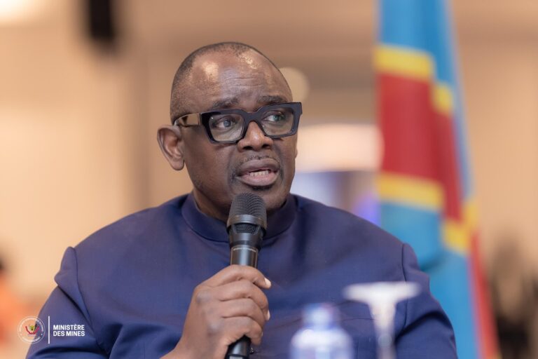 RDC : Ultimatum de 15 jours pour les sociétés minières sur le dossier environnemental