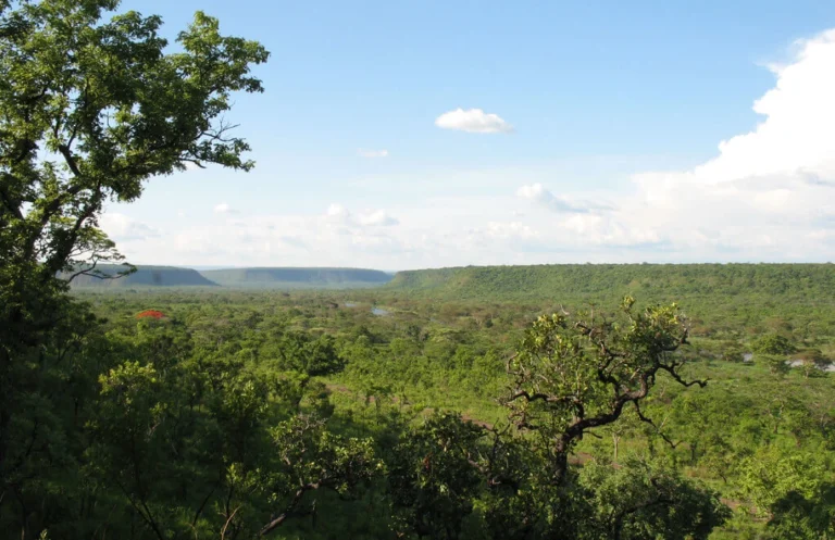 RDC : L’écusson de l’ICCN teinté de noir, pour cinq gardes tués au Parc National de l’Upemba