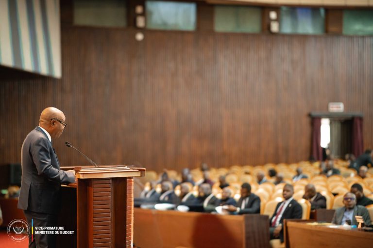 RDC : un budget rectificatif de 21,9 milliards de dollars, en baisse de 7,4 %, déclaré recevable par l’Assemblée nationale