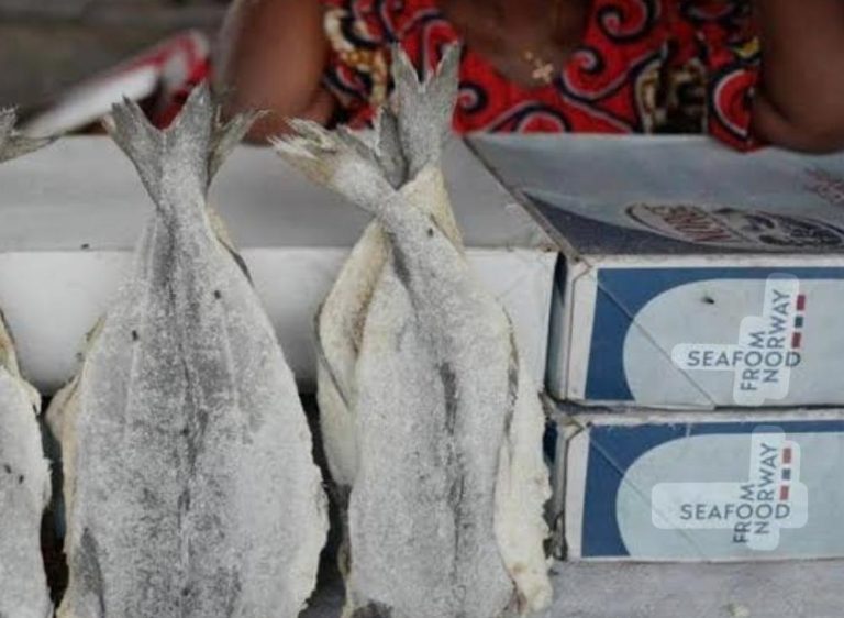RDC : à Kinshasa, le prix du carton de poissons salés importés d’Europe augmente de plus de 10 % en un mois
