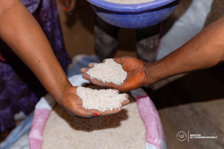 RDC : le gouvernement lance « Riz Bumba, Loso na Biso » pour relancer la production rizicole