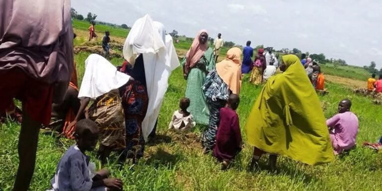Nigeria : 24 morts dans des attaques communautaires dans l’Etat du Plateau