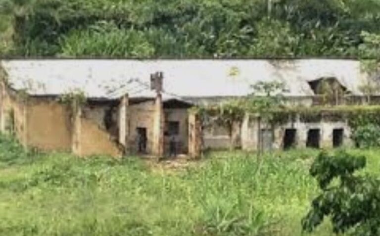 Prison centrale de Walikale : plus de 12 détenus morts depuis janvier 2026