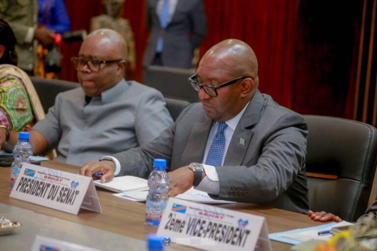 RDC : les bureaux de l’Assemblée nationale et du Sénat harmonisent le calendrier de la session de septembre