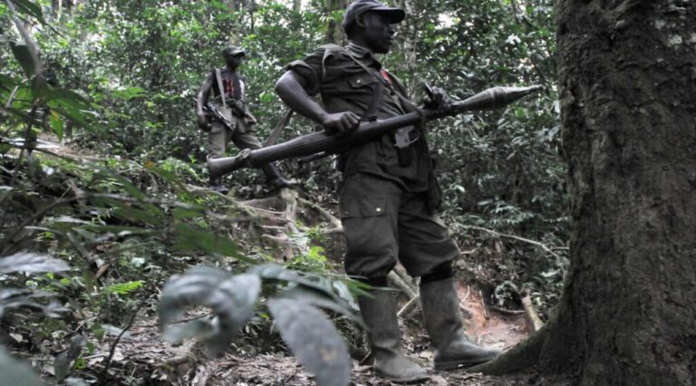 RDC : Floribert Anzuluni mobilise Faure Gnassingbé, João Lourenço et Denis Sassou Nguesso autour du processus de reddition des FDLR