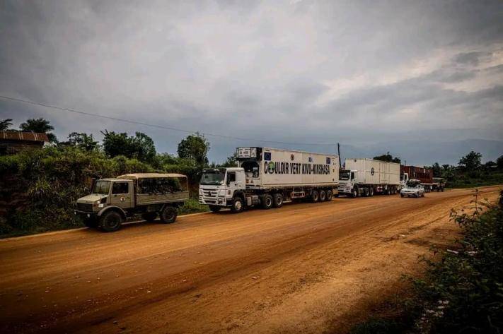 Couloir Vert Kivu-Kinshasa : la Société Civile met en place un comité indépendant de gouvernance