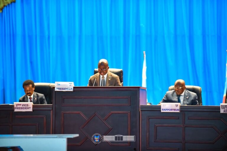 RDC : 334 députés adoptent 4 projets de loi de ratification portant sur 625 millions de dollars de financements de l’IDA